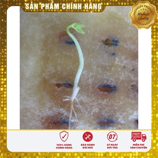 Dung dịch kích mầm ATONIK gói (10ml)