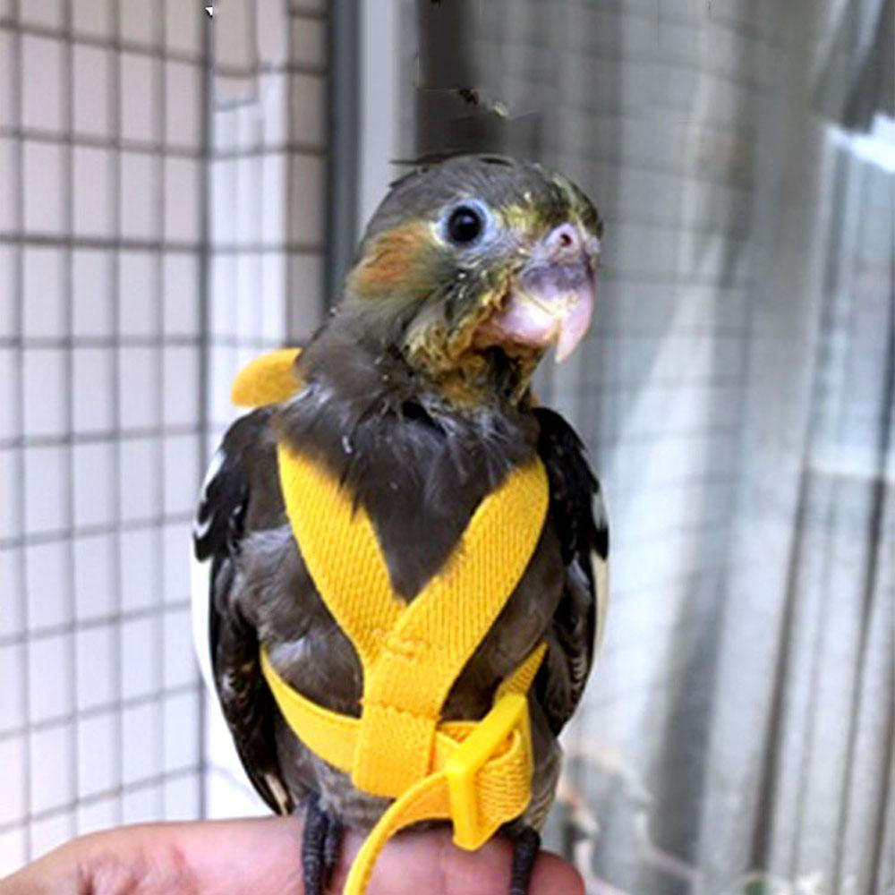 JARRED Dây Dắt Thú Cưng Đi Dạo Thiết Kế Đôi Cánh Thiên Thần Có Thể Điều Chỉnh Tiện Dụng