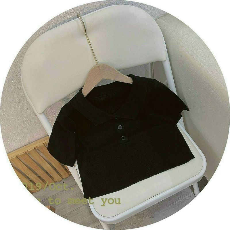 Áo cổ bẻ thanh lịch chất thun gân