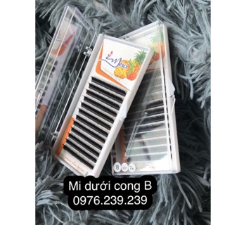 Mi dưới cong B mềm mịn MESCI