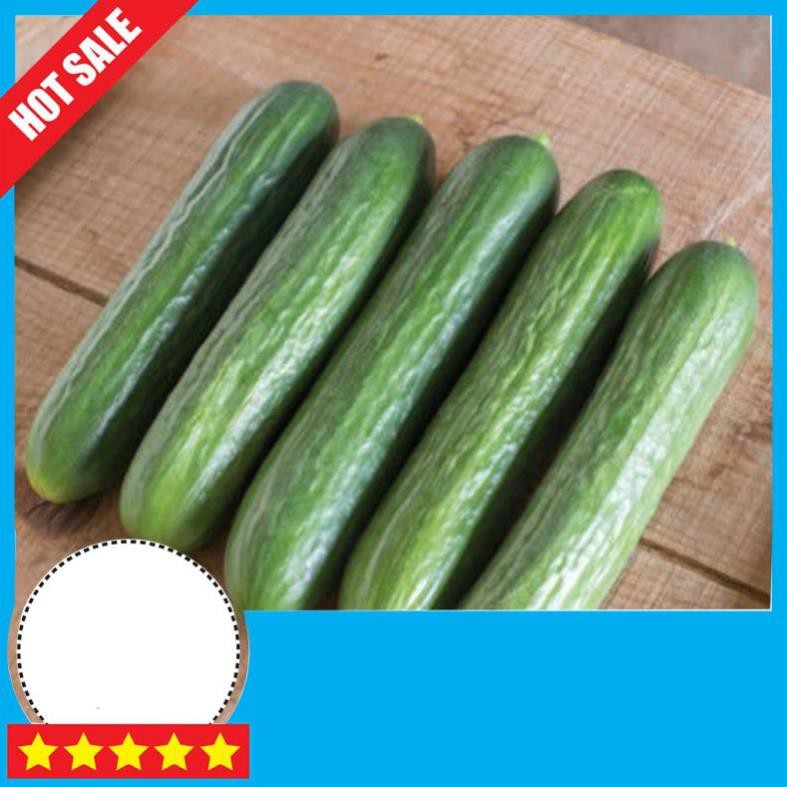 Hạt giống dưa chuột chùm trơn F1🥒Đài Loan🥒 Dưa léo chùm sai quả, dễ trồng