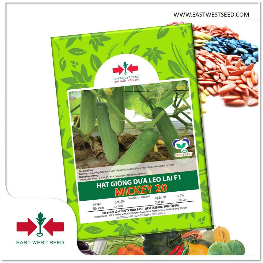 GÓI 35 HẠT GIỐNG DƯA LEO LAI F1 MICKEY 20 CỦA EAST-WEST SEED (HAI MŨI TÊN ĐỎ)