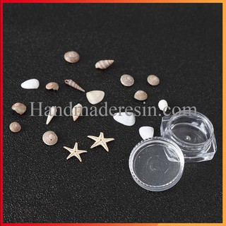 Vỏ Ốc Xà Cừ Size Nhỏ