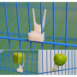 Bộ 3 nĩa ghim trái cây / thức ăn cho chim cảnh / hamster