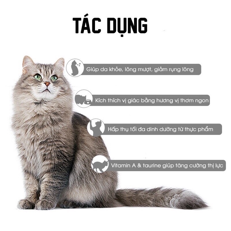 Thức ăn cho mèo hạt Cateye túi 1kg