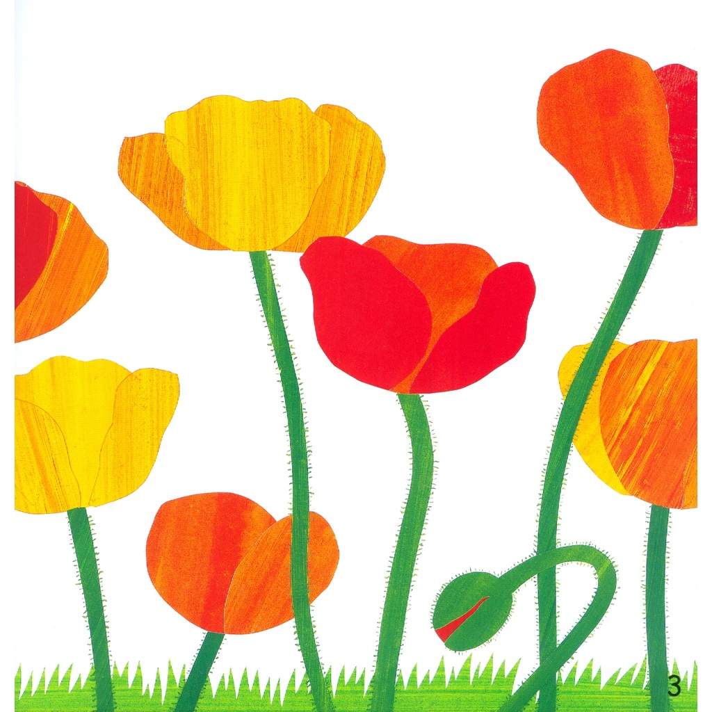 Sách Ehon Accototo - Này, Bạn Có Biết Không? (Từ 0 - 6 Tuổi)