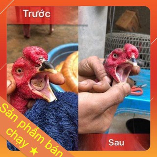 [Bán chạy] [Thức ăn cho gà đá] Thuốc nấm họng cho gà [Thomo]