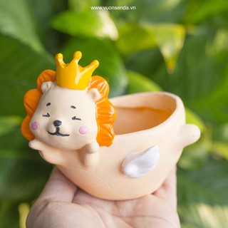 Chậu sư tử bay (nhựa cứng) - Vườn sen đá