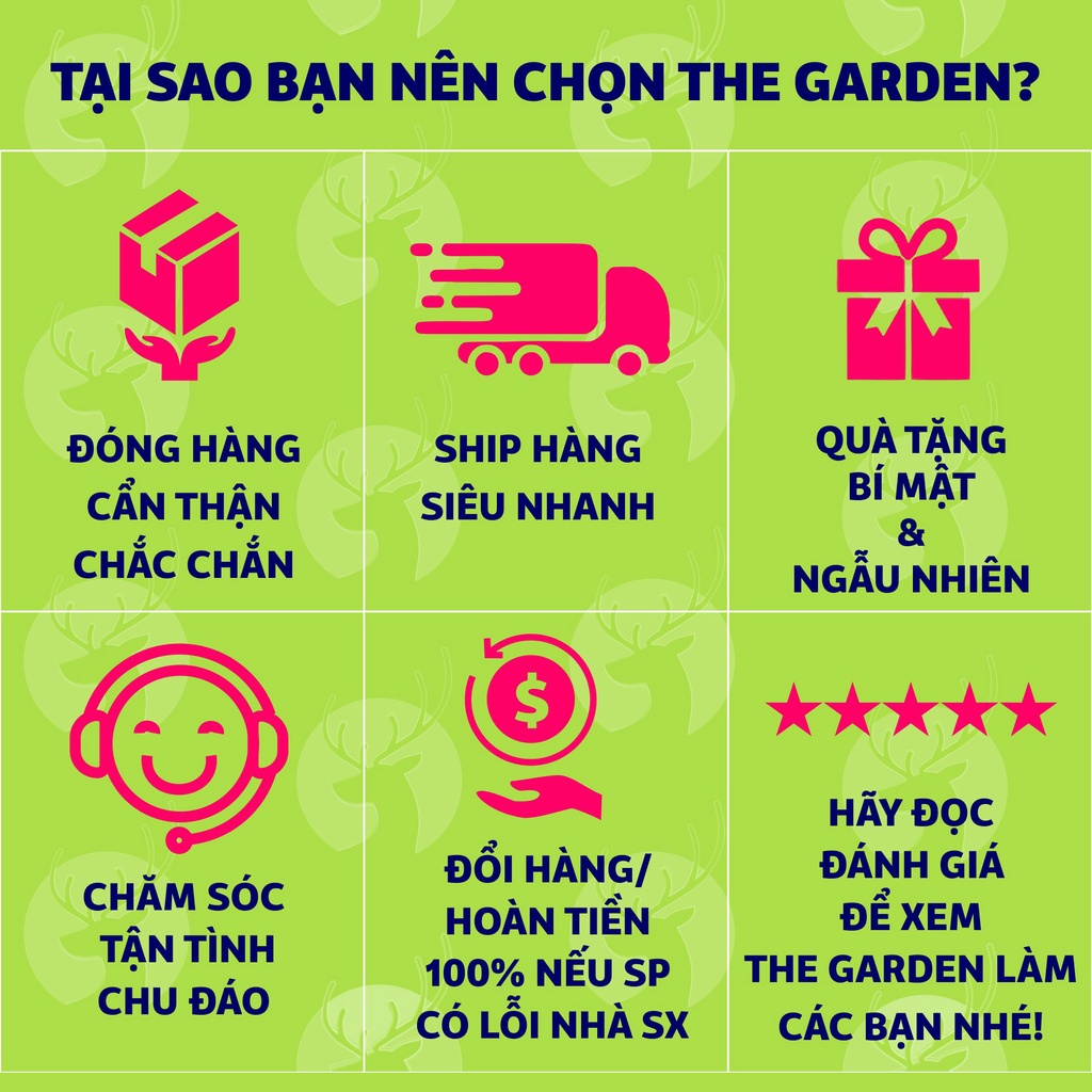 Set Chè Bưởi An Giang THE GARDEN nấu 40-45 chén thơm ngon