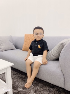 🦖🦖🦖 Áo Thun Cổ Trụ Bé Trai