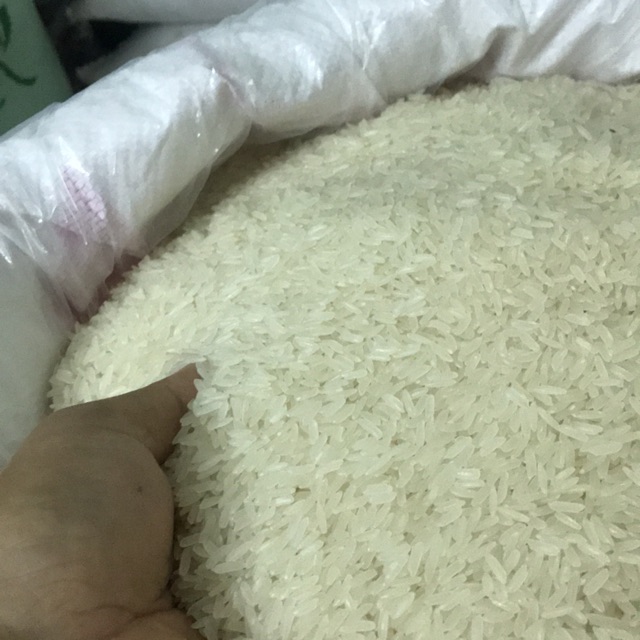 Gạo tám thái hiệu con én đỏ cơm dẻo thơm Trắng nguyên bao 10 kg chia lẻ bán các bạn dùng thử nhé | BigBuy360 - bigbuy360.vn
