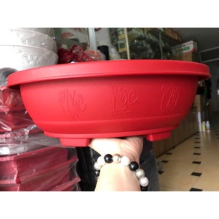 Chậu nhựa trồng bonsai dáng oval 36cm