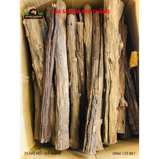 LŨA SAN ĐÁ - DÒNG LŨA CỰC ĐẸP CHO LAYOUT NATURAL