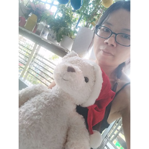 Gấu bông Teddy giá rẻ🌲☃️🍃