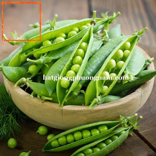 10GR - HẠT GIỐNG ĐẬU HÀ LAN Hạt Giống Nông Trại Xanh