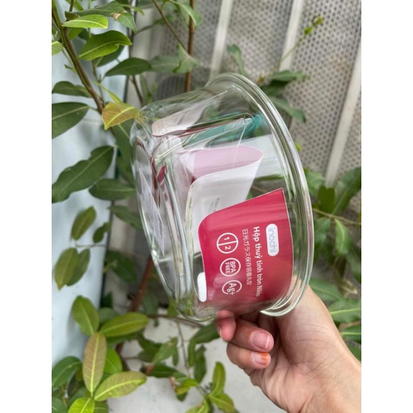 Hộp Thủy Tinh Tròn Chia 2 Ngăn Nikko [INOCHI] 950ml Chịu Nhiệt Cao Cấp..