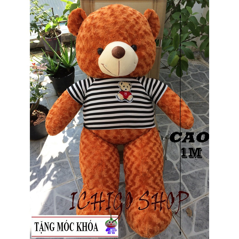 GẤU BÔNG TEDDY Cao Cấp khổ vải 1m2 MÀU CAM ĐẢM BẢO 100% GÒN