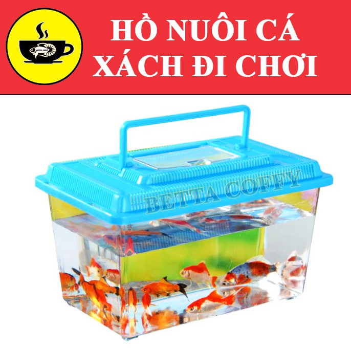 🛀 Bể Cá Mini Siêu tiện lợi - Hồ nuôi cá Betta - Cá Cảnh mini
