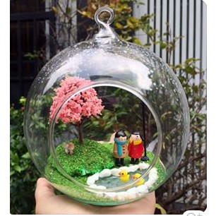 combo hủ tiểu cảnh quà tặng trang trí