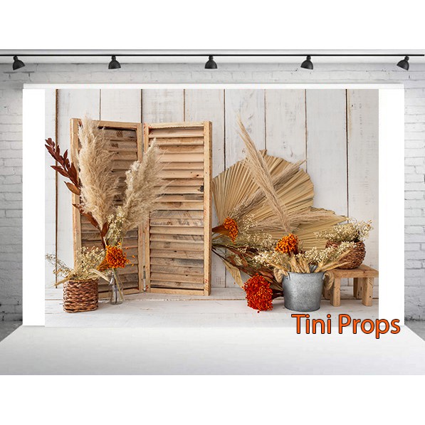Tranh Canvas 1m5x2m - Phông chụp hình Baby MS28