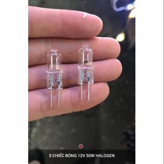 5 bóng halogen 12v 50₩