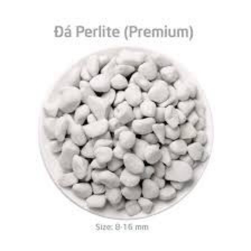 1kg Đá perlite- trân châu size lớn 8-16mm