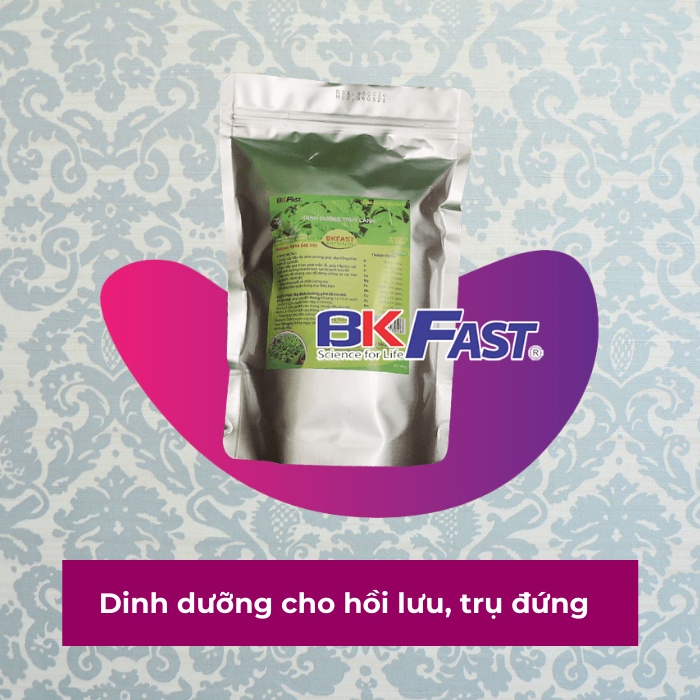 DUNG DỊCH DINH DƯỠNG THỦY CANH - (ĐH Bách Khoa Hà Nội) CHO HỒI LƯU, TRỤ ĐỨNG BKFAST