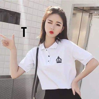 Áo phông cổ bẻ vương miệng DTR0319