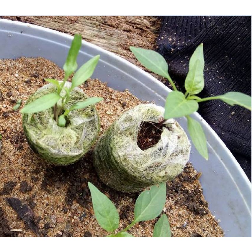 Bộ 20 viên nén sơ dừa ươm hạt giống - giâm cành KNS2