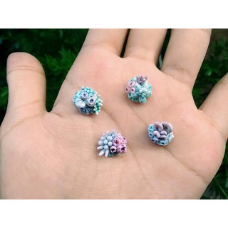 San hô đất sét trang trí keycap resin