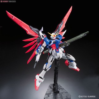 Mô hình lắp ráp RG Destiny Gundam