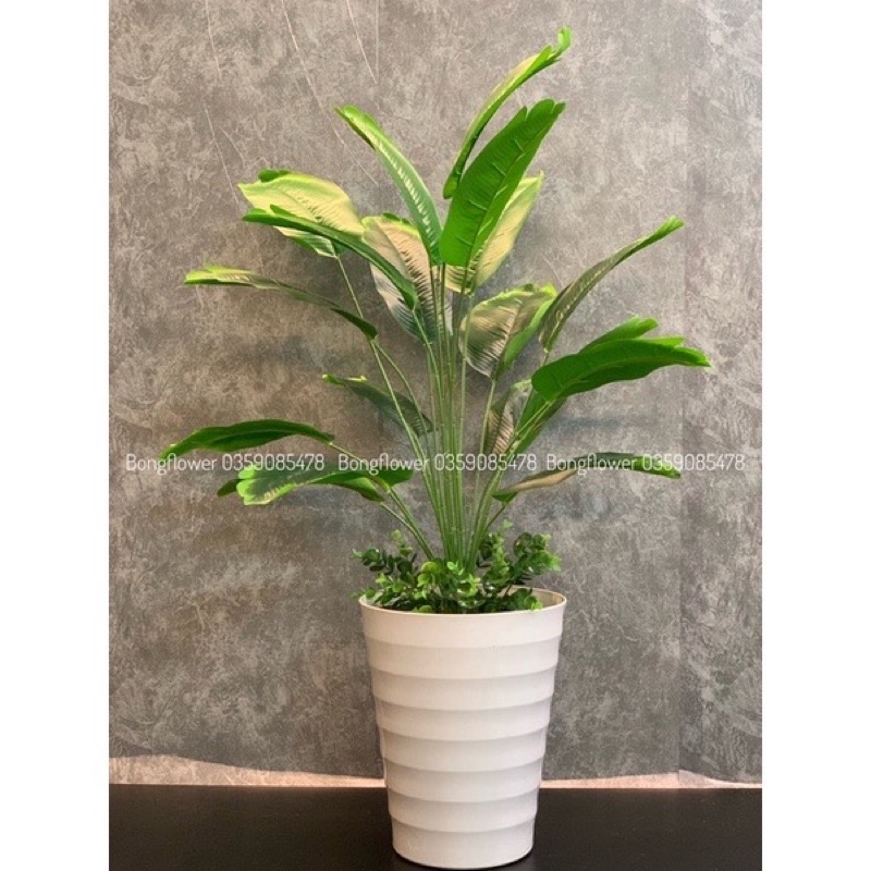 🌿 Cây chuối giả cảnh decor siêu xinh 18 lá cao 81cm - CÂY  KÈM CHẬU KHÁCH NHÉ