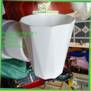 [HOT] Chậu nhựa kim cương trồng cây cảnh kích thước đường kính 25cm c/lượng, hg C/ty.