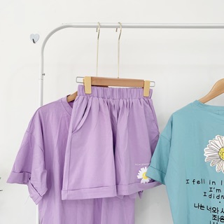 SET BỘ HOA CÚC