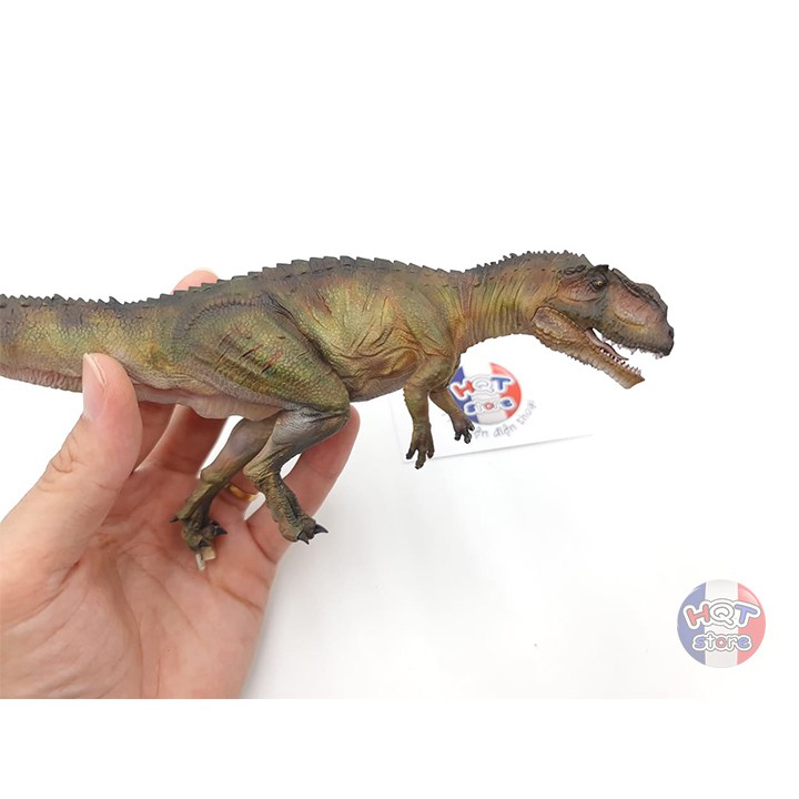 Mô hình khủng long Yangchuanosaurus Nanmu tỉ lệ 1/35 chính hãng