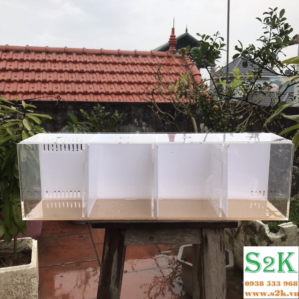 Bể acrylic 4 Ngăn, hồ mika siêu trong phù hợp cho nuôi cá, cây thủy sinh... có thể dùng kèm theo đèn, bơm, lọc