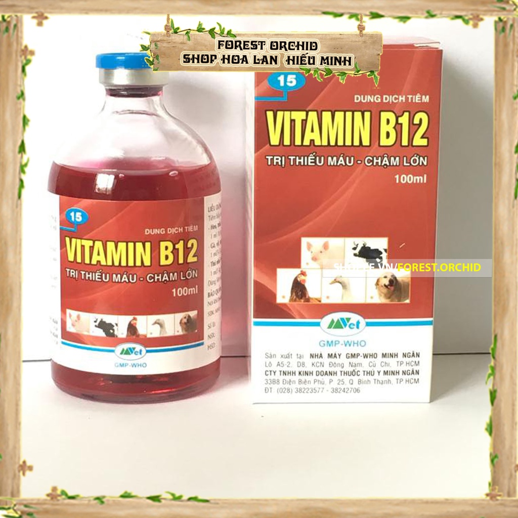 VITAMIN B12 Dung dịch phân bón giải độc, chống sốc phân, tái tạo tế bào cho cây Phong Lan