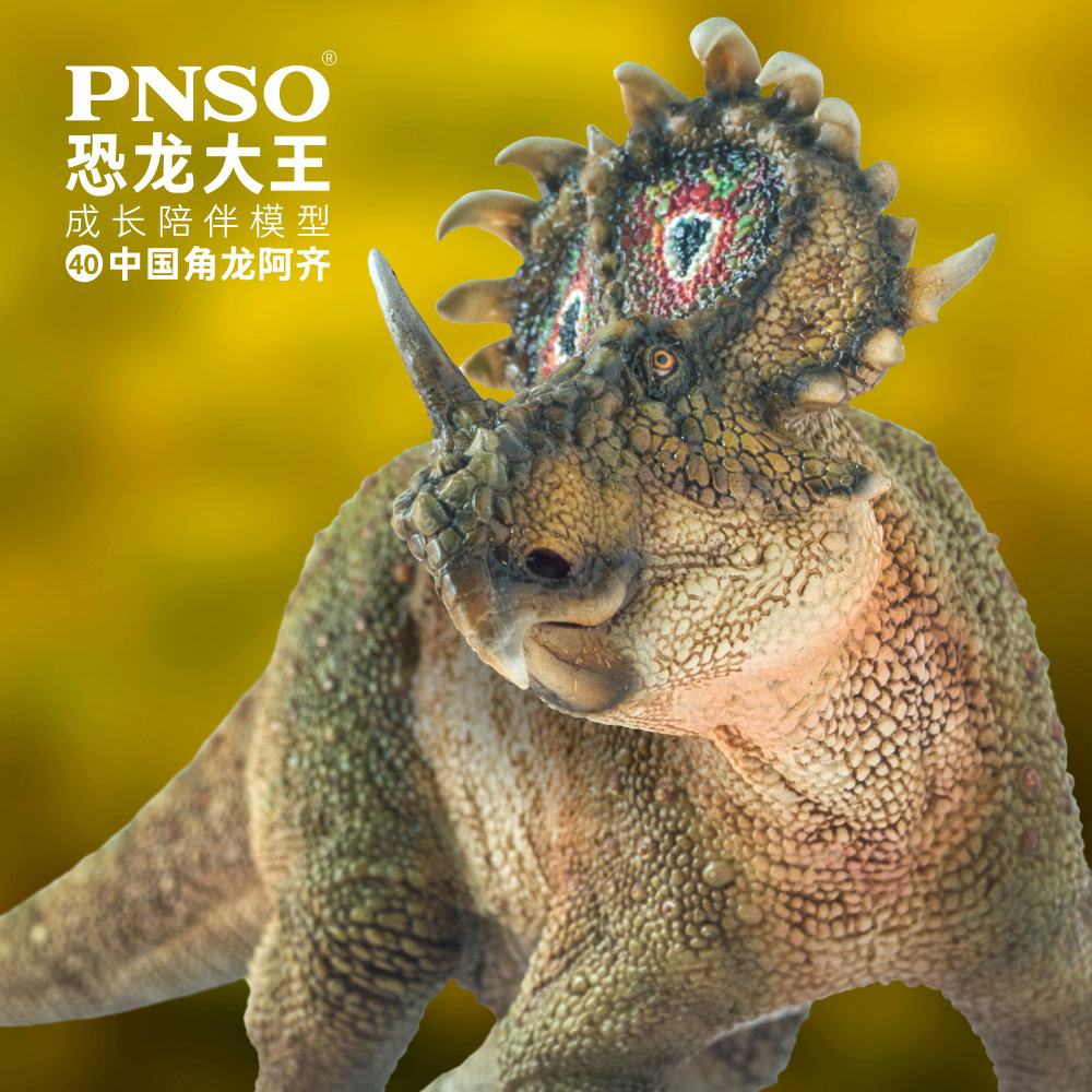 Búp bê PNSO Dinosaur King Growth Companion Model 40 Sừng Rồng Aqi