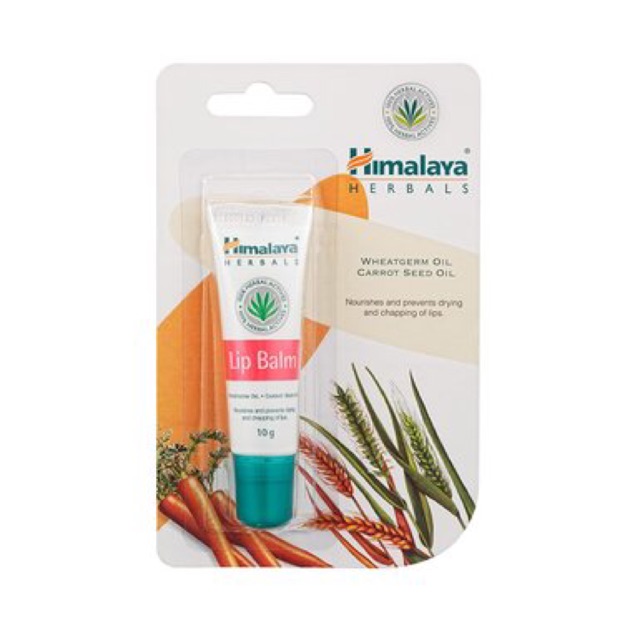 Son dưỡng ẩm Himalaya ấn độ Lip balm chiết xuất lúa mì và cà rốt