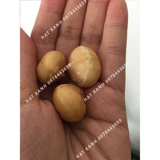 Nhân hạt Macca Úc, 200g
