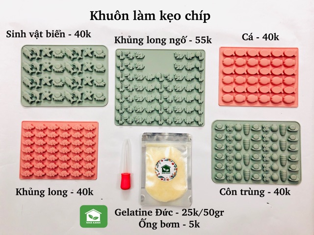 Khuôn silicon làm kẹo chíp, socola