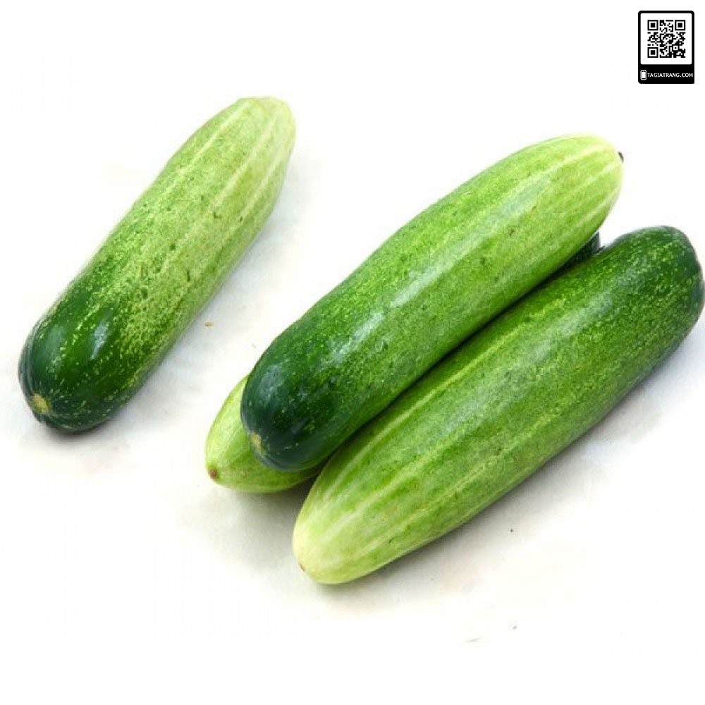 [Bán sỉ] - Hạt giống dưa chuột nếp thơm - Gói 2g