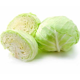 Hạt bắp cải trắng F1 - gói 1 gram