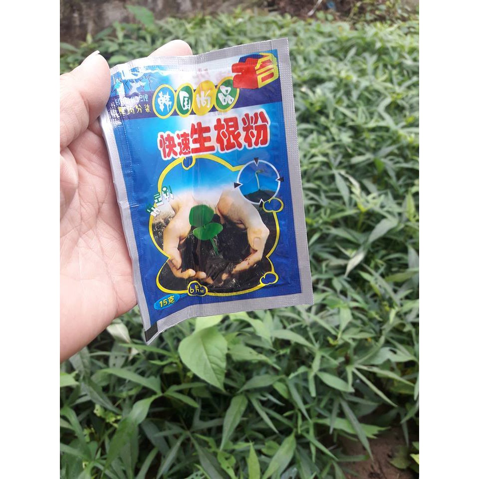 Thuốc kích mọc rễ
