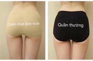 Combo 5 quần chíp kháng khuẩn Nhật