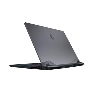 Laptop MSI Gaming GE66 Raider 10SFS - 474VN