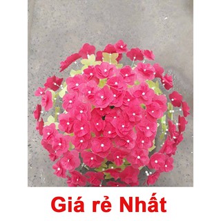 Hoa giấy handmade