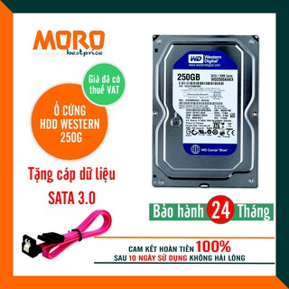 Ổ cứng PC HDD WD Blue 250GB - Tháo máy đồng bộ mới 99%