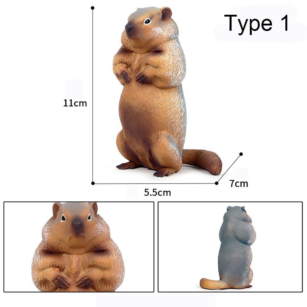 Mô Hình Marmot Sống Động Như Thật Cho Bé
