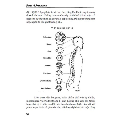 Sách Prana và Pranayama